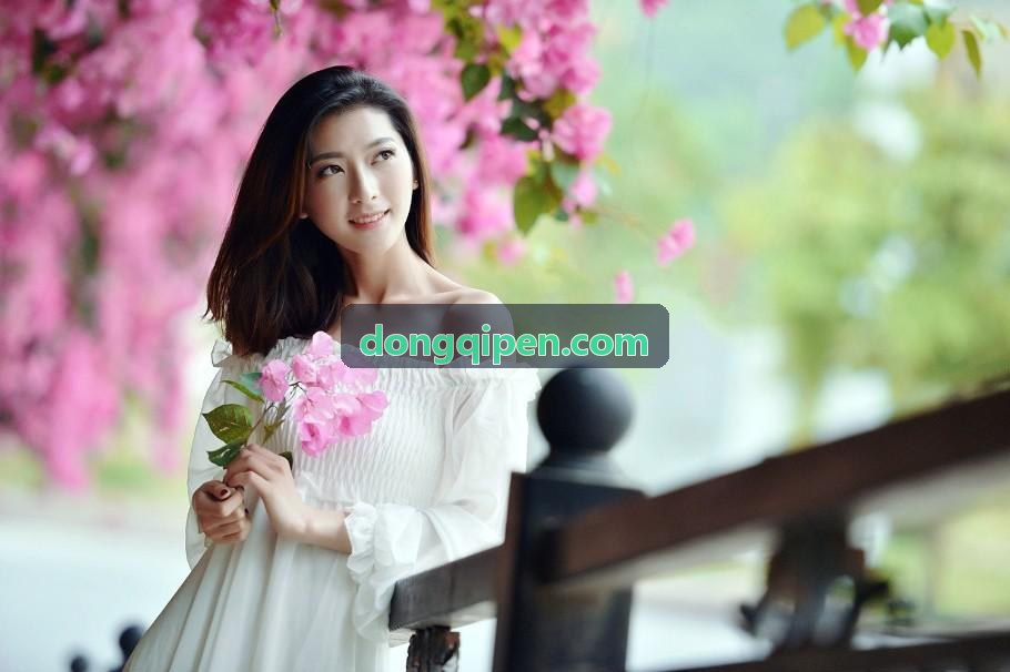 营运网约车辆汽车延保保养节点核对